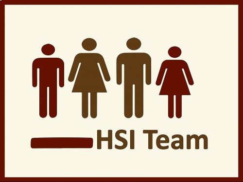 Team HSI