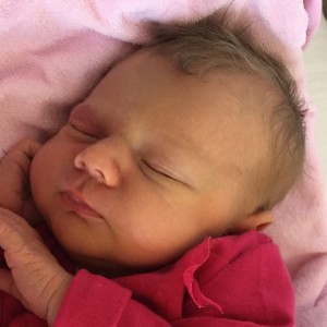 Tess 9-5-2016